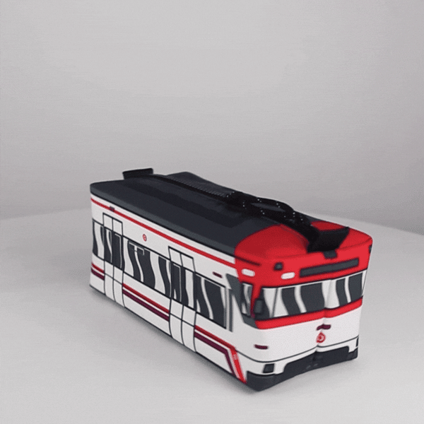 ESTUCHE 3D RENFE ESPEJOS